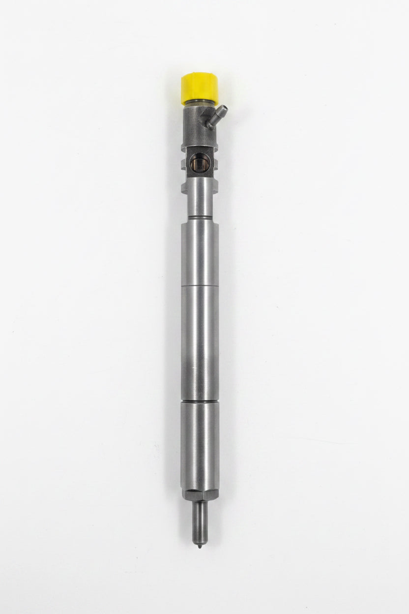 Tata Safari 2.2 Delphi Injector EJBR04901D  Reconditioned