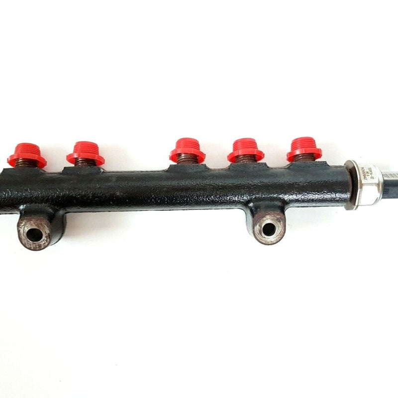 Common Injection Fuel Rail 9199-199, Tata Xenon Euro 6